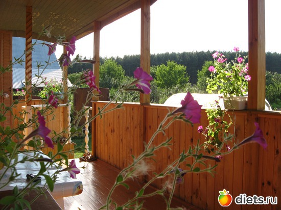 33 фото: Мир, каким я его вижу