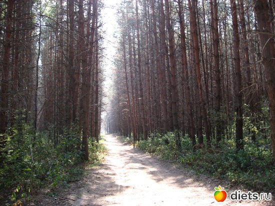 34 фото: Мир, каким я его вижу