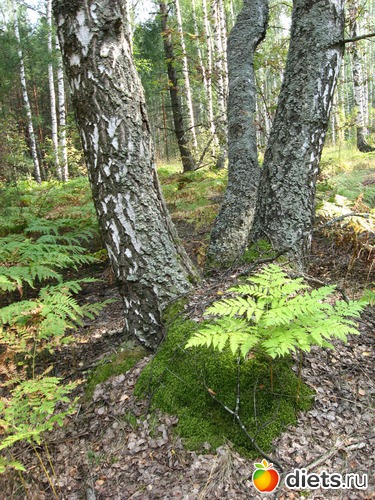 35 фото: Мир, каким я его вижу