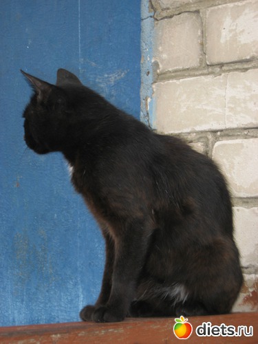 36 фото: Мир, каким я его вижу