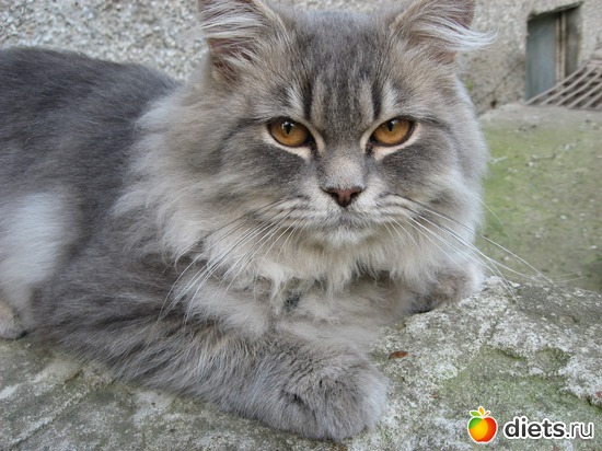 37 фото: Мир, каким я его вижу