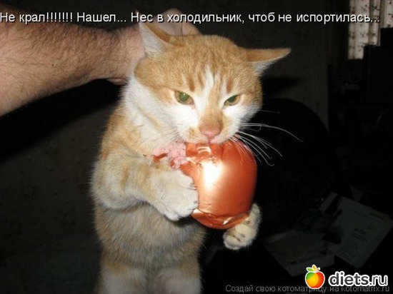 4 фото: картинки