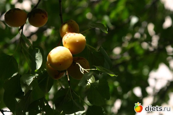 40 фото: Мир, каким я его вижу