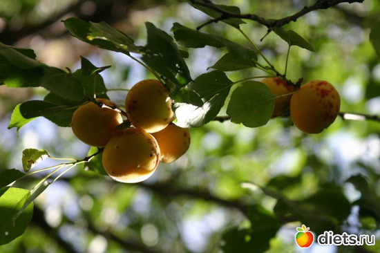 41 фото: Мир, каким я его вижу