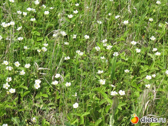 43 фото: Мир, каким я его вижу