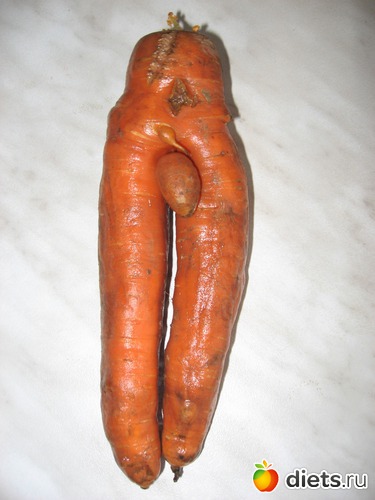 44 фото: Мир, каким я его вижу