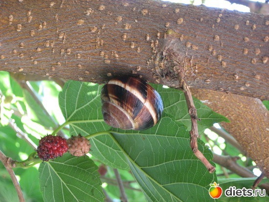 45 фото: Мир, каким я его вижу