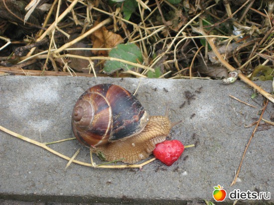 46 фото: Мир, каким я его вижу