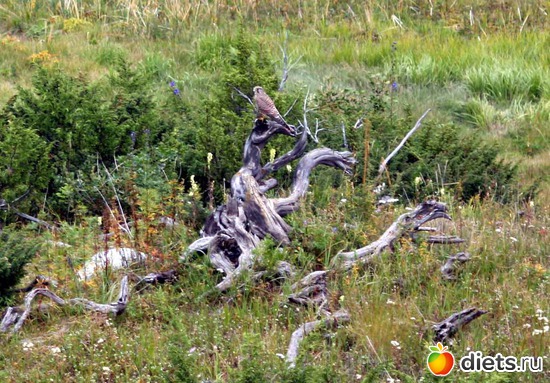 50 фото: Мир, каким я его вижу