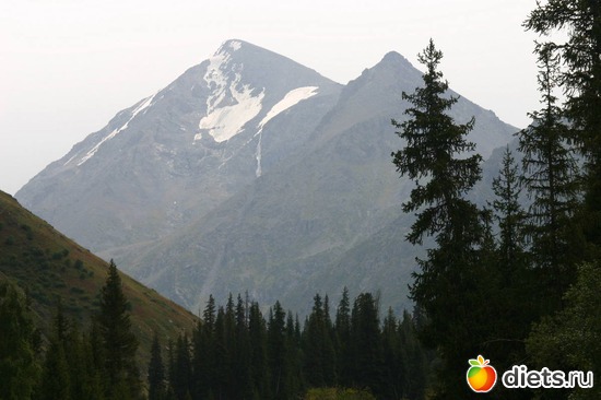 52 фото: Мир, каким я его вижу