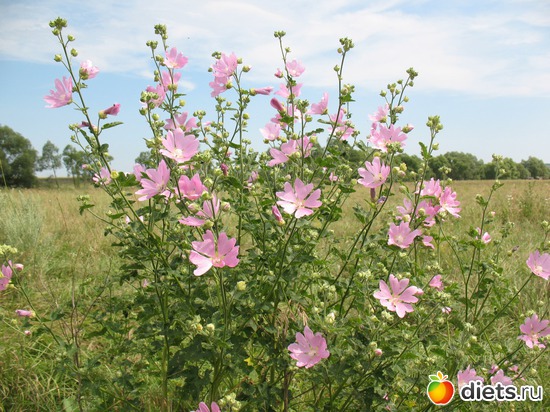 53 фото: Мир, каким я его вижу