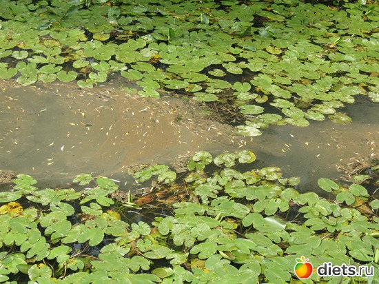 54 фото: Мир, каким я его вижу