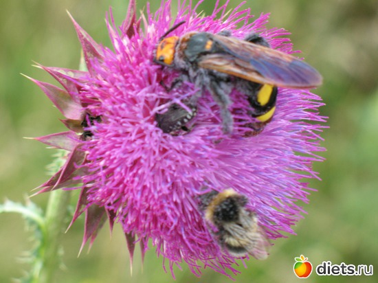 56 фото: Мир, каким я его вижу