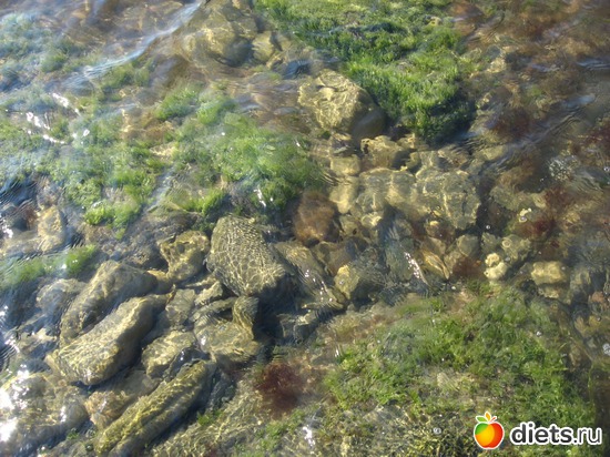 59 фото: Мир, каким я его вижу