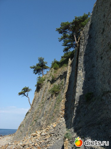 61 фото: Мир, каким я его вижу