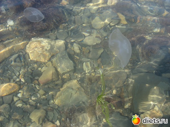 63 фото: Мир, каким я его вижу