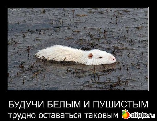 3 ����: ��� �������� ����������