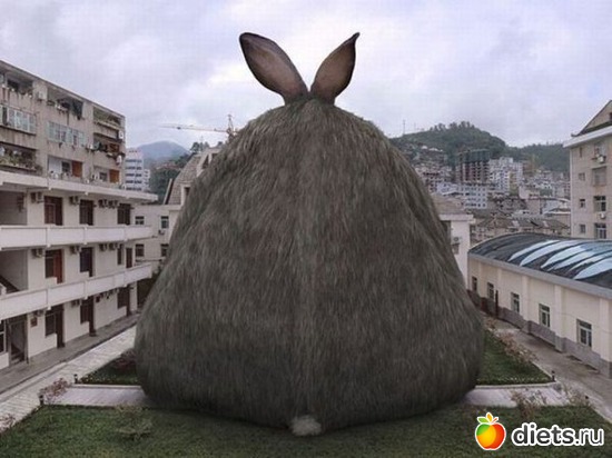 7 ����: ��� �������� ����������