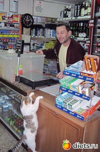 8 ����: ��� �������� ����������