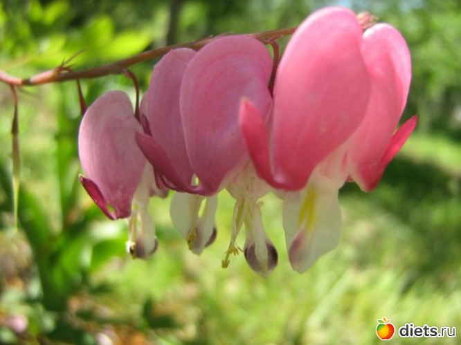 2 фото: простые радости