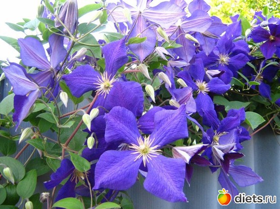 3 фото: простые радости