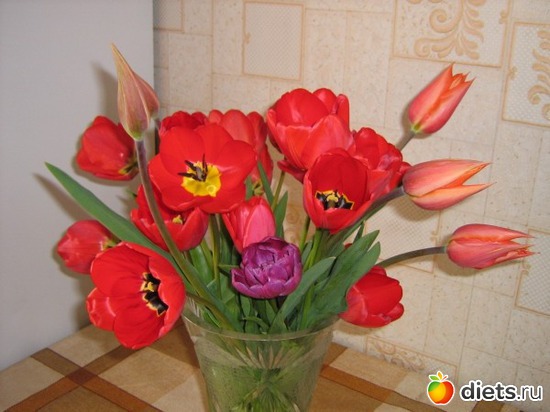 5 ����: ������� �������