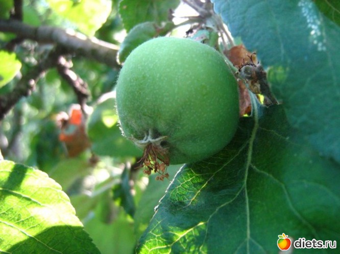 7 фото: простые радости