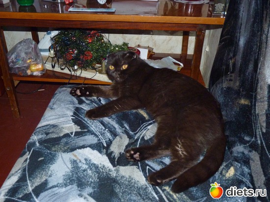 2 ����: ����