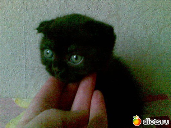 7 фото: Кузя