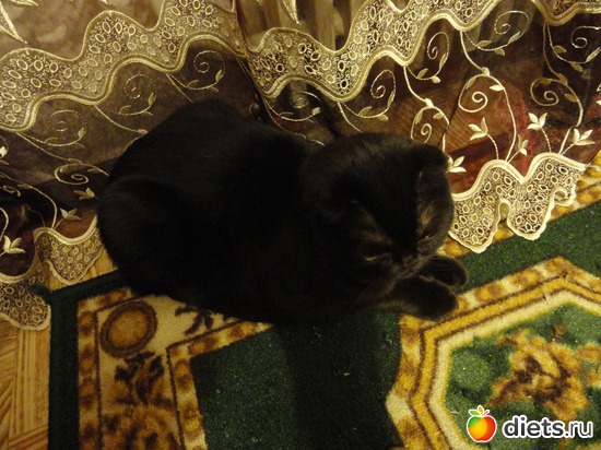 17 фото: Кузя