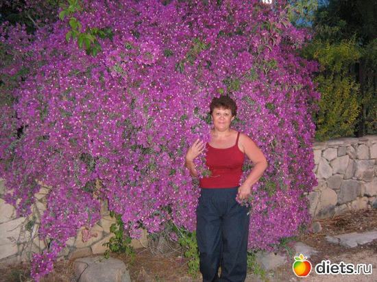 1 ����: ���� ���� �����