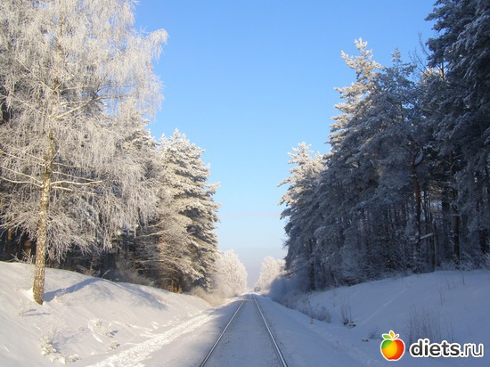 ��� ����� ���-������� -����!!!, ������: ��� ������� �����!!!