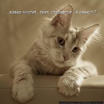 � 1 ������))