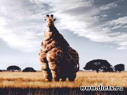 � 1 ������!!!!