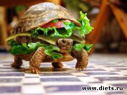 � 1 ������!!!!