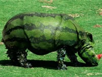 � 1 ������!!!!