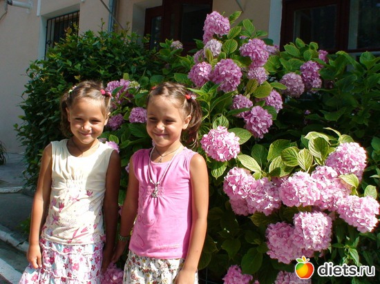 ���� ����� � �����, ������: ��� ���������