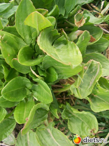 43 фото: Это можно!!!