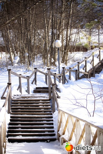 5 ����: �����