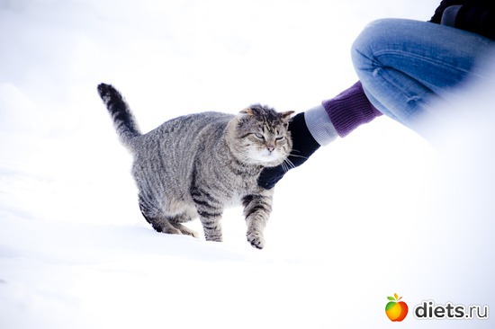 ������� �������, ������: �����