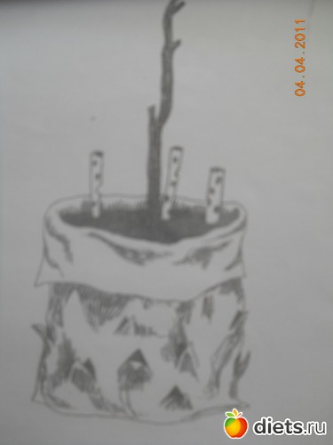 1 ����: 1000 �������