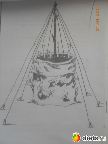 2 ����: 1000 �������