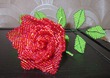 Моя учебная работа