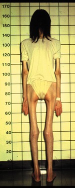 только давайте не будем до этого доходить!