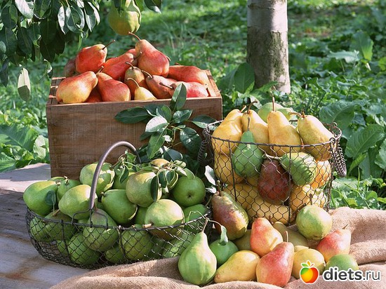 10 ����: � ���� ���������)