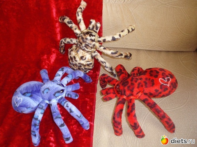 13 ����: ��� �������