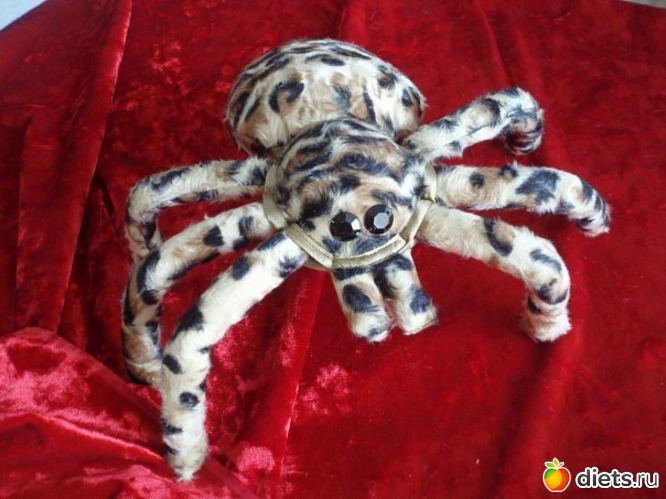 14 ����: ��� �������