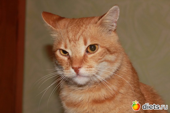 2 ����: ��� ���