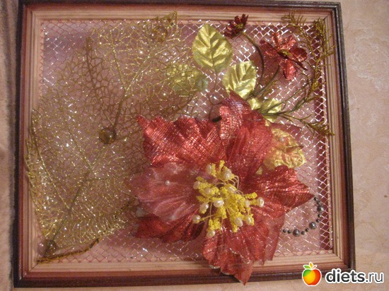 12 фото: Мое увлечение и мое вдохновение