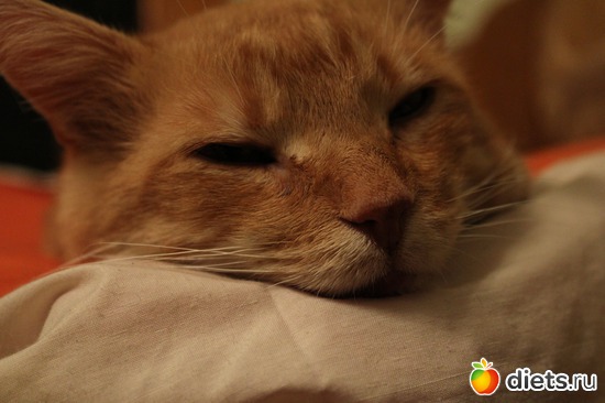 3 ����: ��� ���